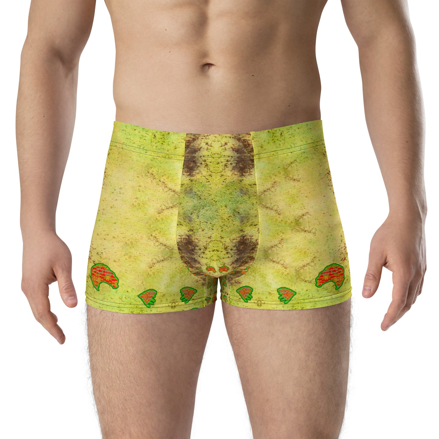 Boxer Briefs (His/Virilis) RJSTH@Fabric#2 RJSTHs2020 RJS