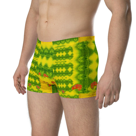 Boxer Briefs (His/Virilis) RJSTH@Fabric#1 RJSTHs2020 RJS
