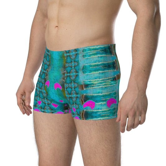 Boxer Briefs (His/Virilis) RJSTH@Fabric#8 RJSTHs2020 RJS