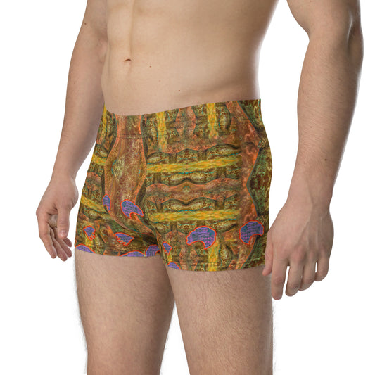 Boxer Briefs (His/Virilis) RJSTH@Fabric#6 RJSTHs2020 RJS