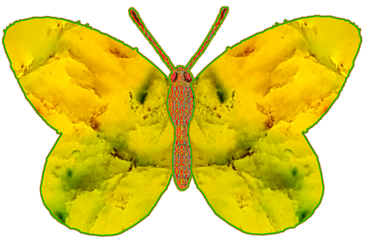 Ode to the New Dawn: A Ballad of Reclamation