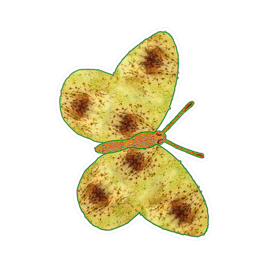 Ante Iridem Margo (Vinyl Decals)(Butterfly Glade Denizen) RJSTH@Fabric#2_9 of 16 RJSTHw2023 RJS