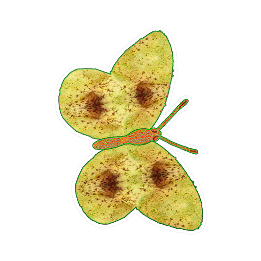 Ante Iridem Margo (Vinyl Decals)(Butterfly Glade Denizen) RJSTH@Fabric#2_3 of 16 RJSTHw2023 RJS