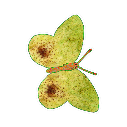 Ante Iridem Margo (Vinyl Decals)(Butterfly Glade Denizen) RJSTH@Fabric#2_10 of 16 RJSTHw2023 RJS