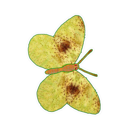 Ante Iridem Margo (Vinyl Decals)(Butterfly Glade Denizen) RJSTH@Fabric#2_2 of 16 RJSTHw2023 RJS