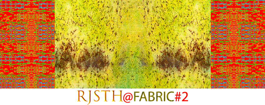 RJSTH-Fabric-2-Fired-Raku-Green-Orchid-Glass-&-Orange-Rind-2-Collection-River-Jade-Smithy-rjs-rjsth-custom-boutique-clothing-at-contrado-printful-by-river-jade-smith-travis-doby-huffaker-activewear-cloth-print-made-on-demand
