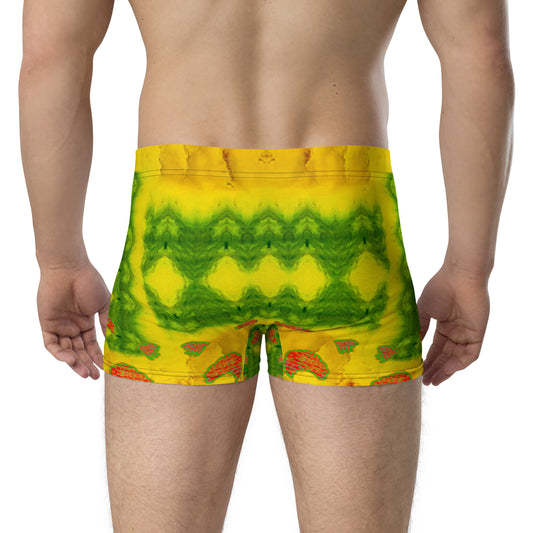 Boxer Briefs (His/They) RJSTH@Fabric#1 RJSTHW2020 RJS