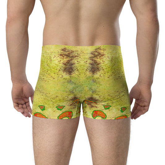 Boxer Briefs (His/They) RJSTH@Fabric#2 RJSTHW2020 RJS