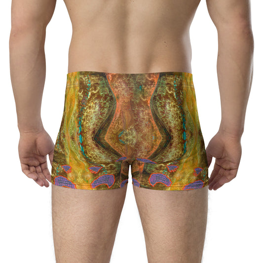 Boxer Briefs (His/They) RJSTH@Fabric#6 RJSTHW2020 RJS