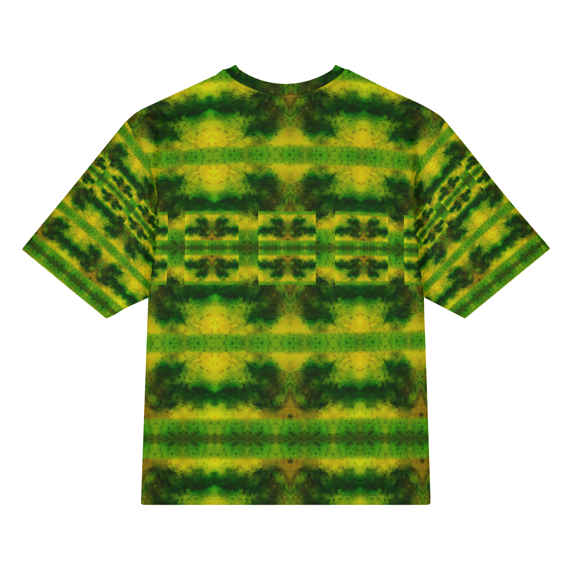 Back view of Purely Jade Light Cotton OverSized T-Shirt with green-yellow broad horizontal bands and darker green bar-like chamber shapes and patterned sleeve panels by RJSTH.